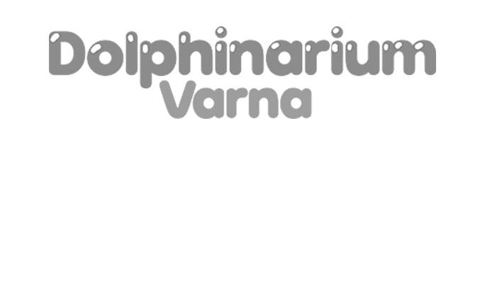 дельфинарий